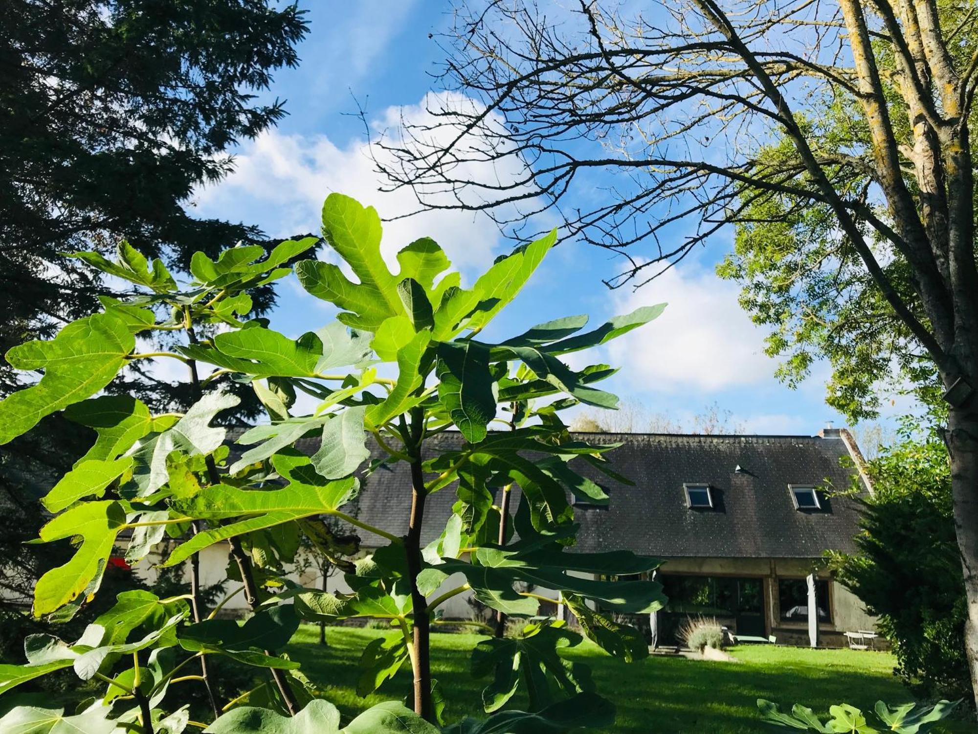 Rouge Cottage Gite 4 Etoiles Billard Gueutteville-les-Gres Exterior foto